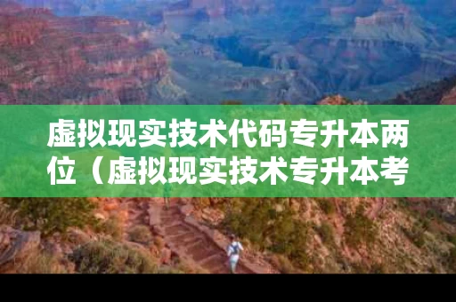 虚拟现实技术代码专升本两位（虚拟现实技术专升本考什么）