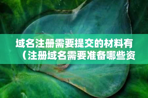 域名注册需要提交的材料有（注册域名需要准备哪些资料呢?域名注册的流程是什么?）