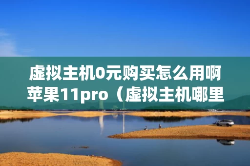 虚拟主机0元购买怎么用啊苹果11pro（虚拟主机哪里购买）