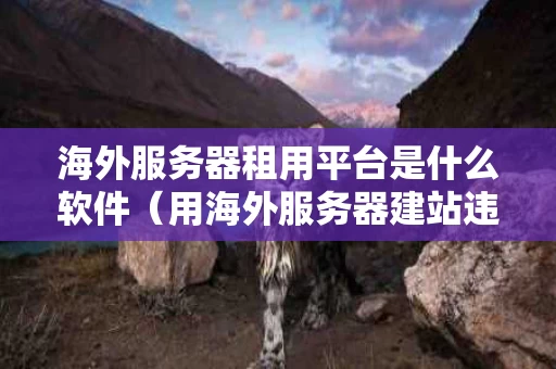 海外服务器租用平台是什么软件（用海外服务器建站违法吗）