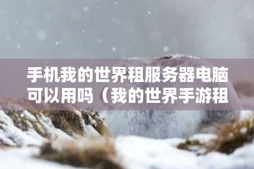 手机我的世界租服务器电脑可以用吗（我的世界手游租赁服电脑可以进吗）