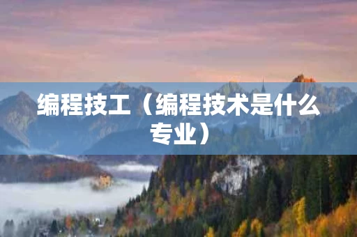 编程技工（编程技术是什么专业）