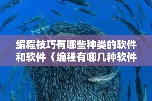 编程技巧有哪些种类的软件和软件（编程有哪几种软件）
