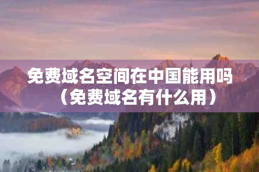 免费域名空间在中国能用吗（免费域名有什么用）