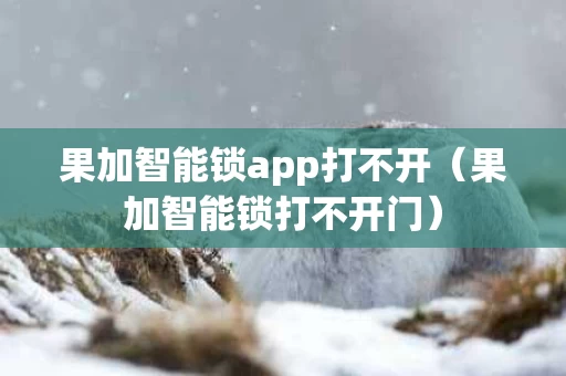 果加智能锁app打不开（果加智能锁打不开门）