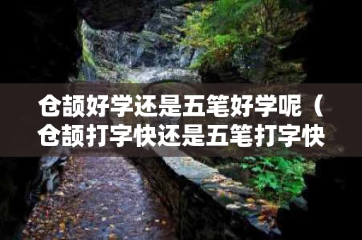 仓颉好学还是五笔好学呢（仓颉打字快还是五笔打字快）