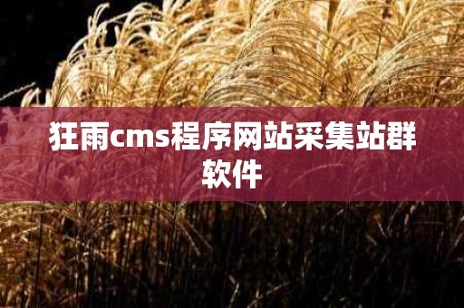 狂雨cms程序网站采集站群软件