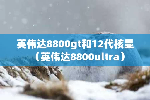 英伟达8800gt和12代核显（英伟达8800ultra）