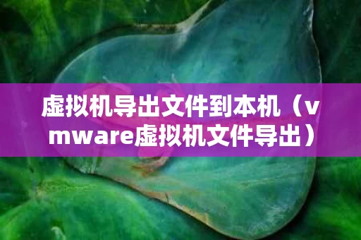 虚拟机导出文件到本机（vmware虚拟机文件导出）