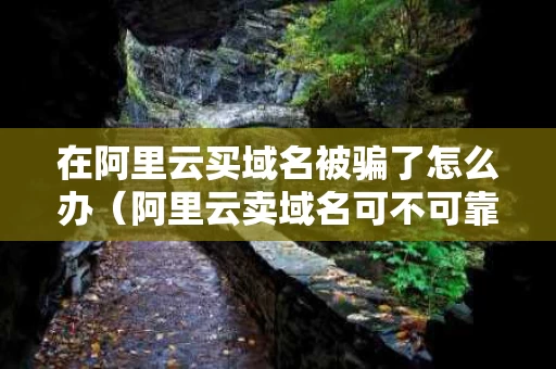 在阿里云买域名被骗了怎么办（阿里云卖域名可不可靠）