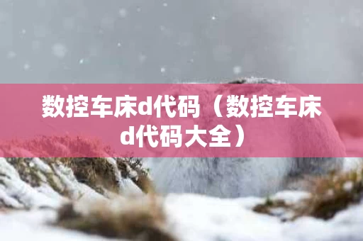 数控车床d代码（数控车床d代码大全）