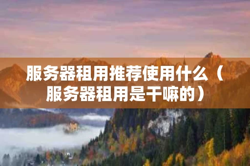 服务器租用推荐使用什么（服务器租用是干嘛的）