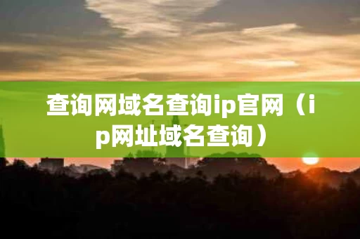 查询网域名查询ip官网（ip网址域名查询）