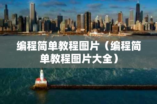 编程简单教程图片（编程简单教程图片大全）