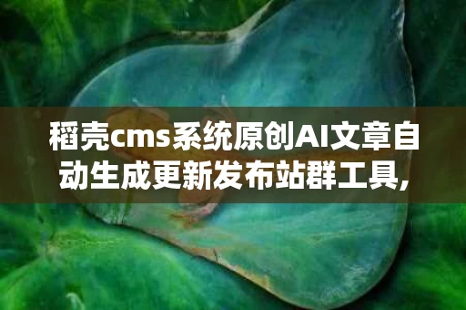 稻壳cms系统原创AI文章自动生成更新发布站群工具,稻壳cmsS系统原创AI文章自动生成更新发布站群工具——内容营销新利器