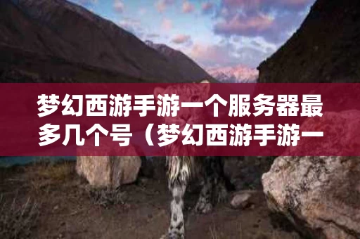 梦幻西游手游一个服务器最多几个号（梦幻西游手游一个区最多几个号）
