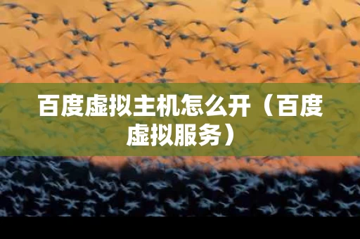 百度虚拟主机怎么开（百度虚拟服务）