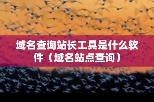 域名查询站长工具是什么软件（域名站点查询）