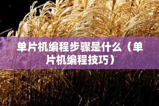 单片机编程步骤是什么（单片机编程技巧）