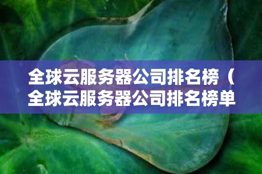 全球云服务器公司排名榜（全球云服务器公司排名榜单）