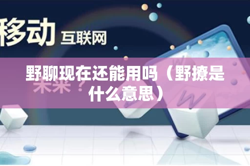野聊现在还能用吗（野撩是什么意思）