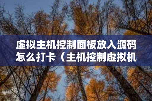 虚拟主机控制面板放入源码怎么打卡（主机控制虚拟机脚本）