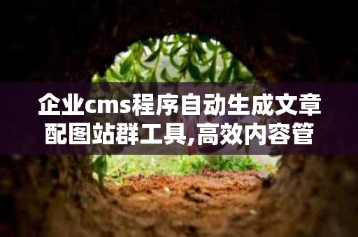 企业cms程序自动生成文章配图站群工具,高效内容管理新选择