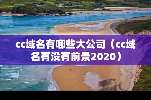 cc域名有哪些大公司（cc域名有没有前景2020）