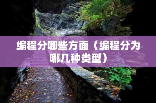 编程分哪些方面（编程分为哪几种类型）