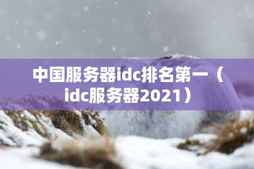 中国服务器idc排名第一（idc服务器2021）