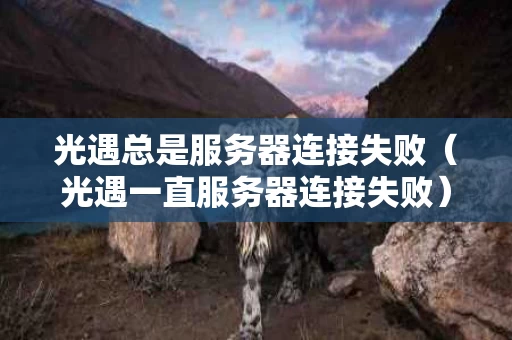 光遇总是服务器连接失败（光遇一直服务器连接失败）