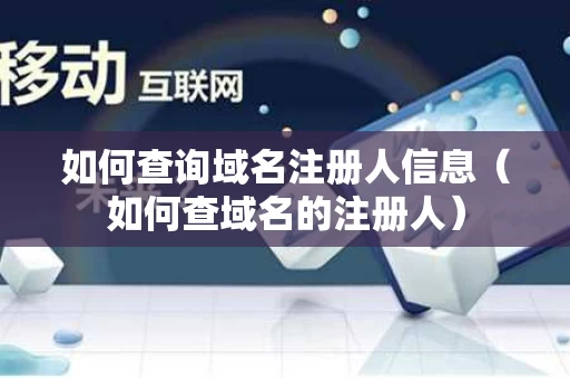 如何查询域名注册人信息（如何查域名的注册人）