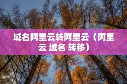 域名阿里云转阿里云（阿里云 域名 转移）