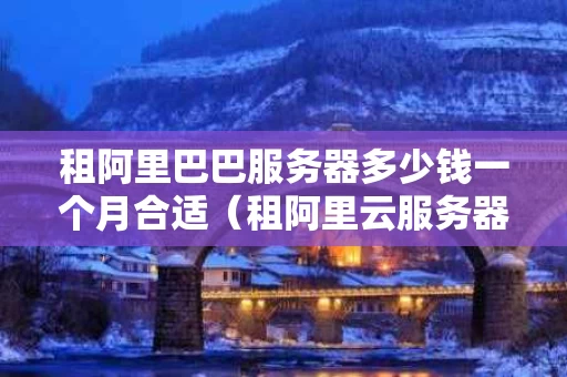租阿里巴巴服务器多少钱一个月合适（租阿里云服务器一个月租多少钱）
