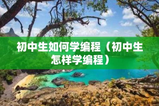 初中生如何学编程（初中生怎样学编程）