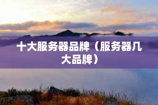 十大服务器品牌（服务器几大品牌）