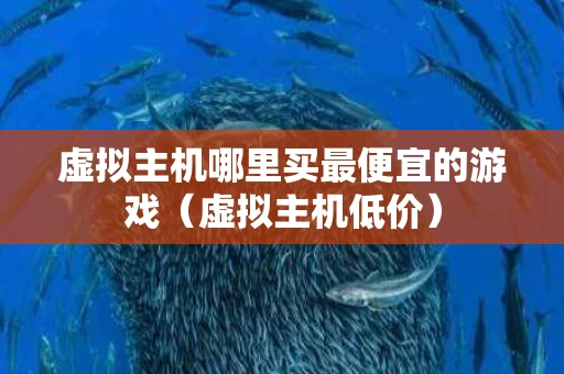 虚拟主机哪里买最便宜的游戏（虚拟主机低价）