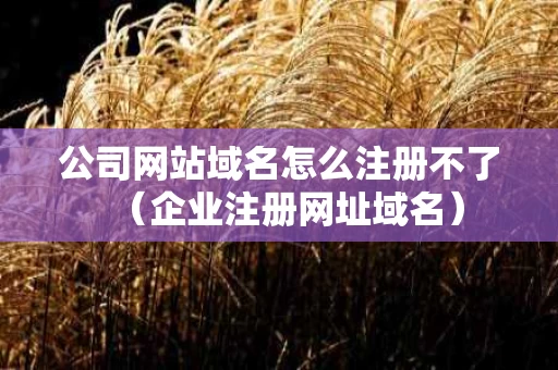 公司网站域名怎么注册不了（企业注册网址域名）