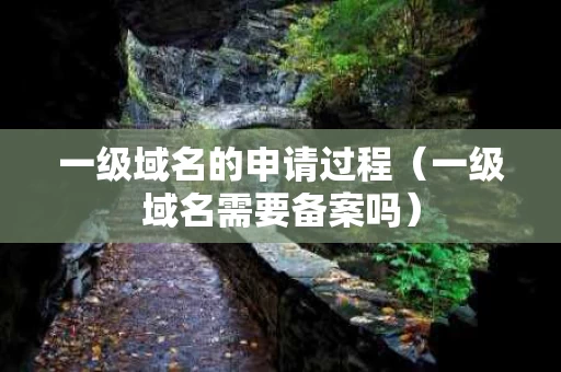 一级域名的申请过程（一级域名需要备案吗）
