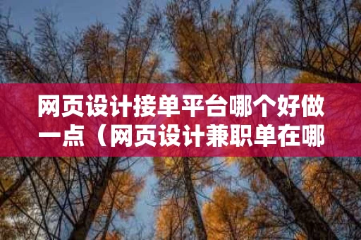 网页设计接单平台哪个好做一点（网页设计兼职单在哪接）