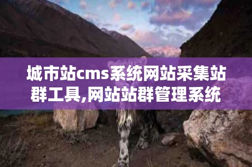 城市站cms系统网站采集站群工具,网站站群管理系统