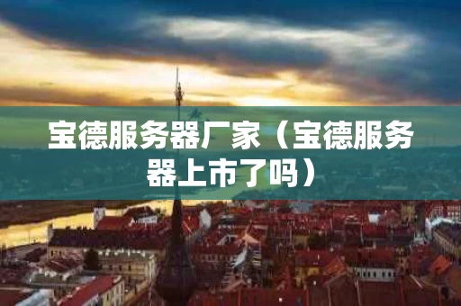 宝德服务器厂家（宝德服务器上市了吗）