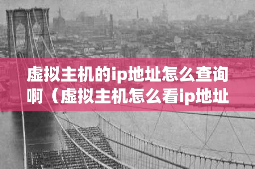 虚拟主机的ip地址怎么查询啊（虚拟主机怎么看ip地址）