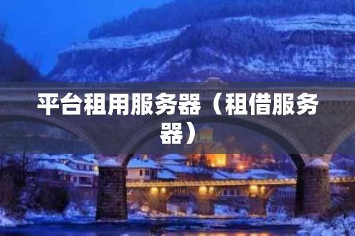 平台租用服务器（租借服务器）