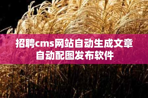 招聘cms网站自动生成文章自动配图发布软件