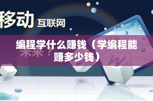 编程学什么赚钱（学编程能赚多少钱）