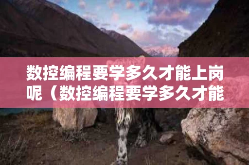 数控编程要学多久才能上岗呢（数控编程要学多久才能上岗呢女生）