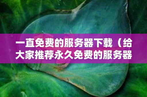 一直免费的服务器下载（给大家推荐永久免费的服务器下载）