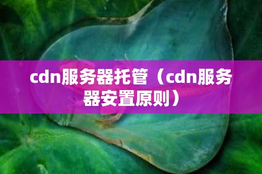 cdn服务器托管（cdn服务器安置原则）