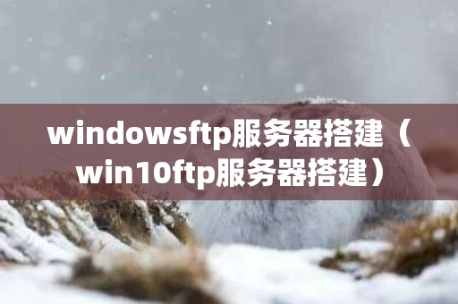 windowsftp服务器搭建（win10ftp服务器搭建）